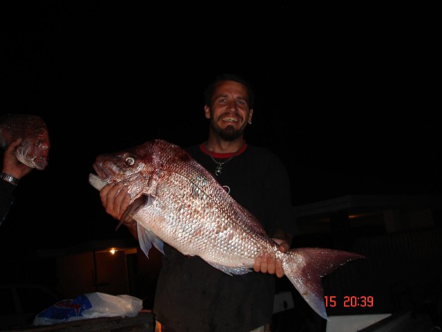 NICE SNAPPER